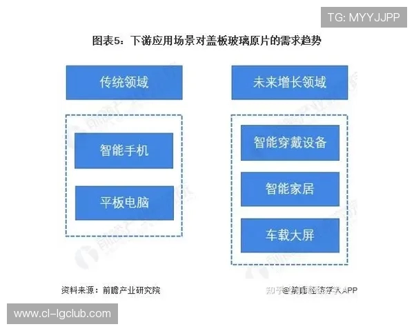 室内不穿鞋足球运动的兴起与发展趋势分析